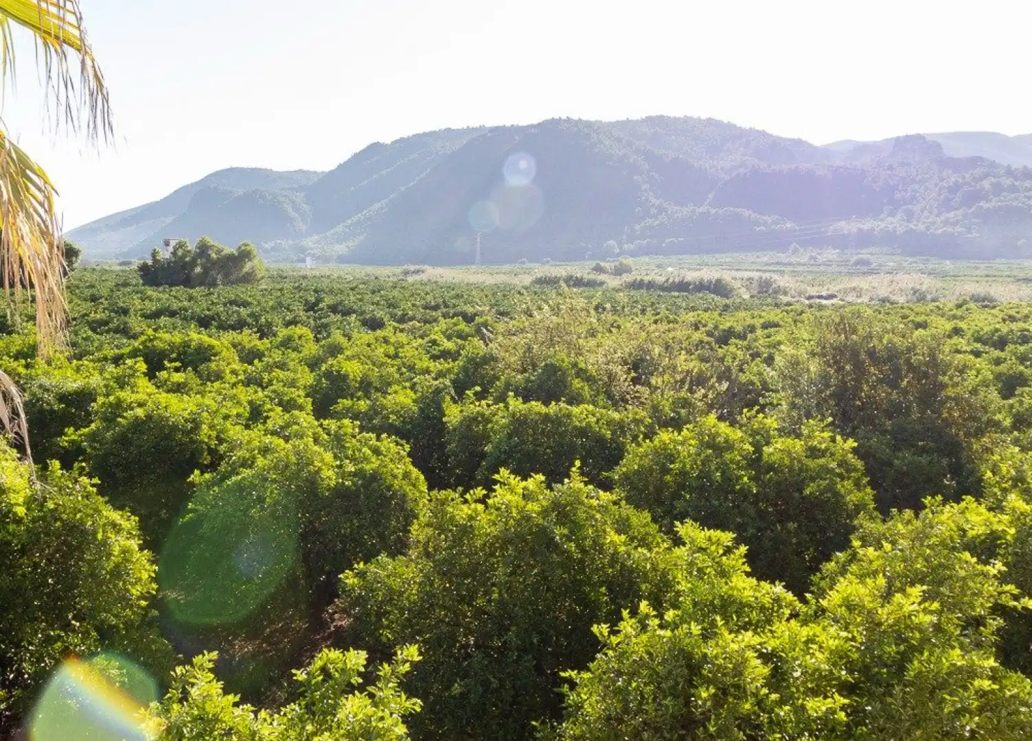 Maison à vendre à Benifairó de la Valldigna - HORTA, imagen 49