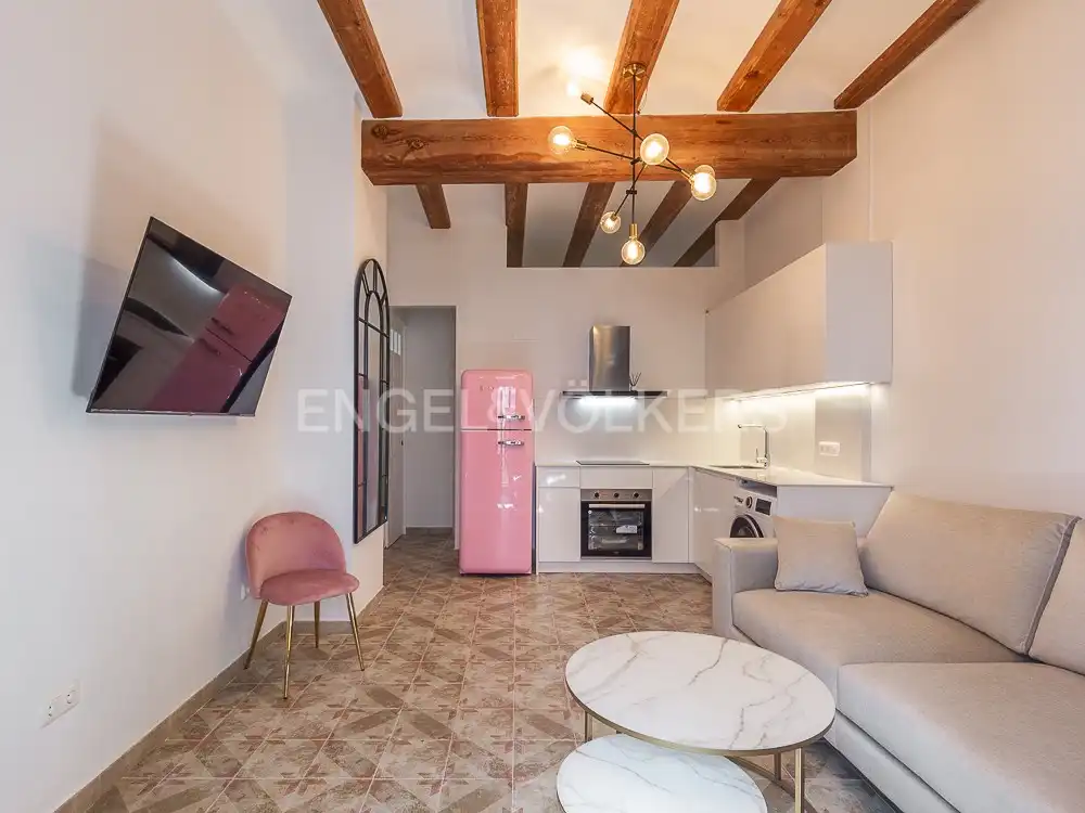 Sala d'estar de Pis de lloguer en Ciutat Vella 