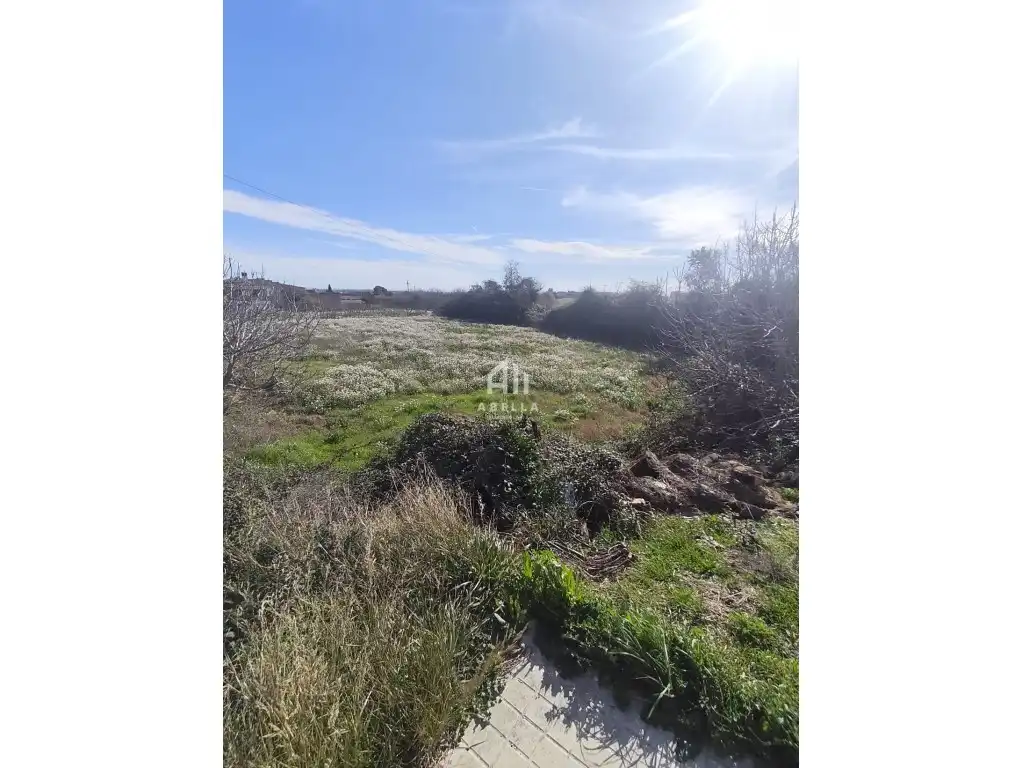 Terreno residencial en venta en Alguaire, imagen 2
