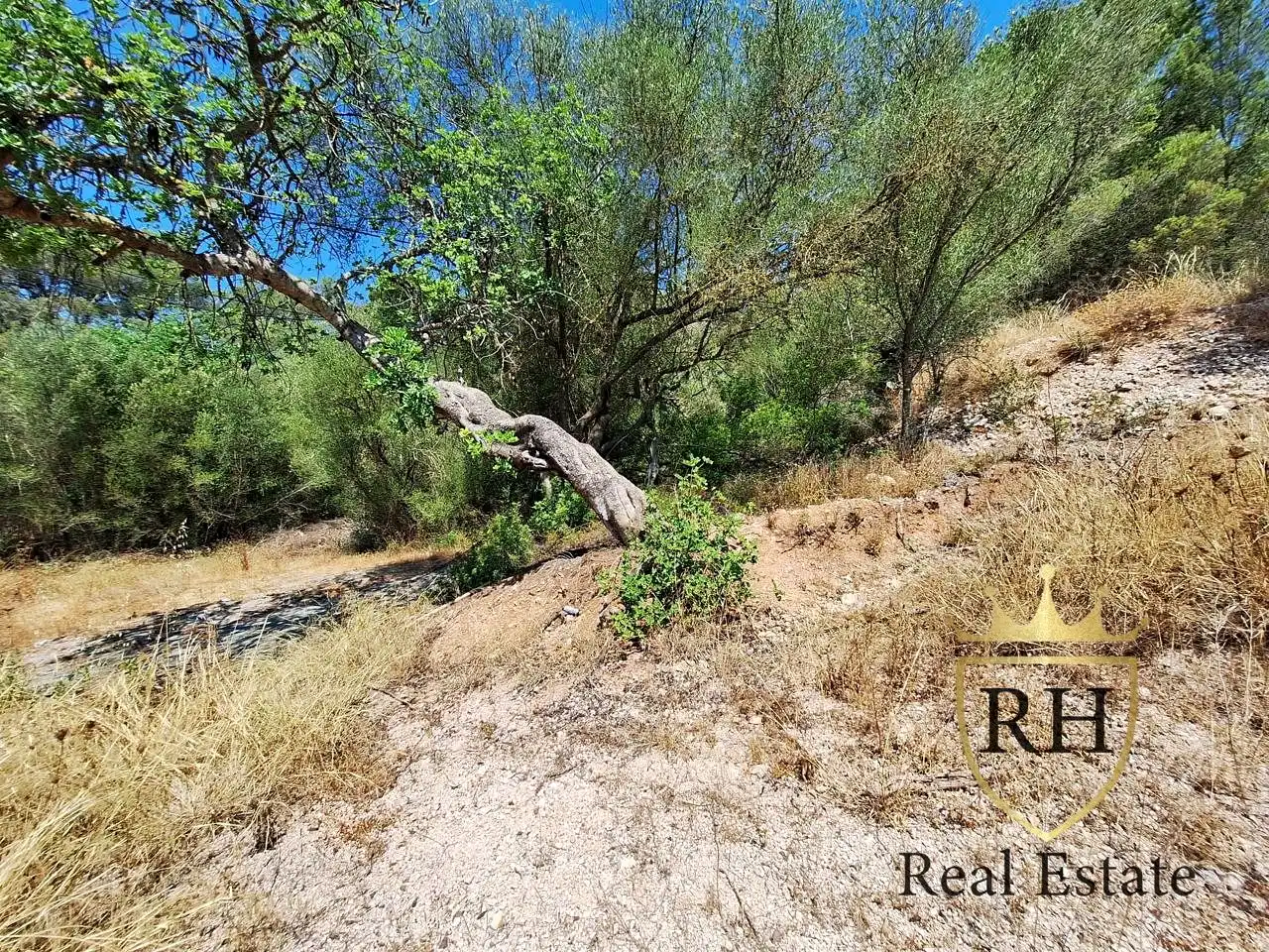 Finca rústica en venta en Son Servera