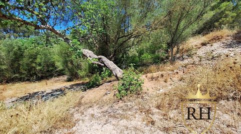 Foto 5 de Finca rústica en venta en Poligono 9 Parcela 69, Son Servera Poble, Son Servera