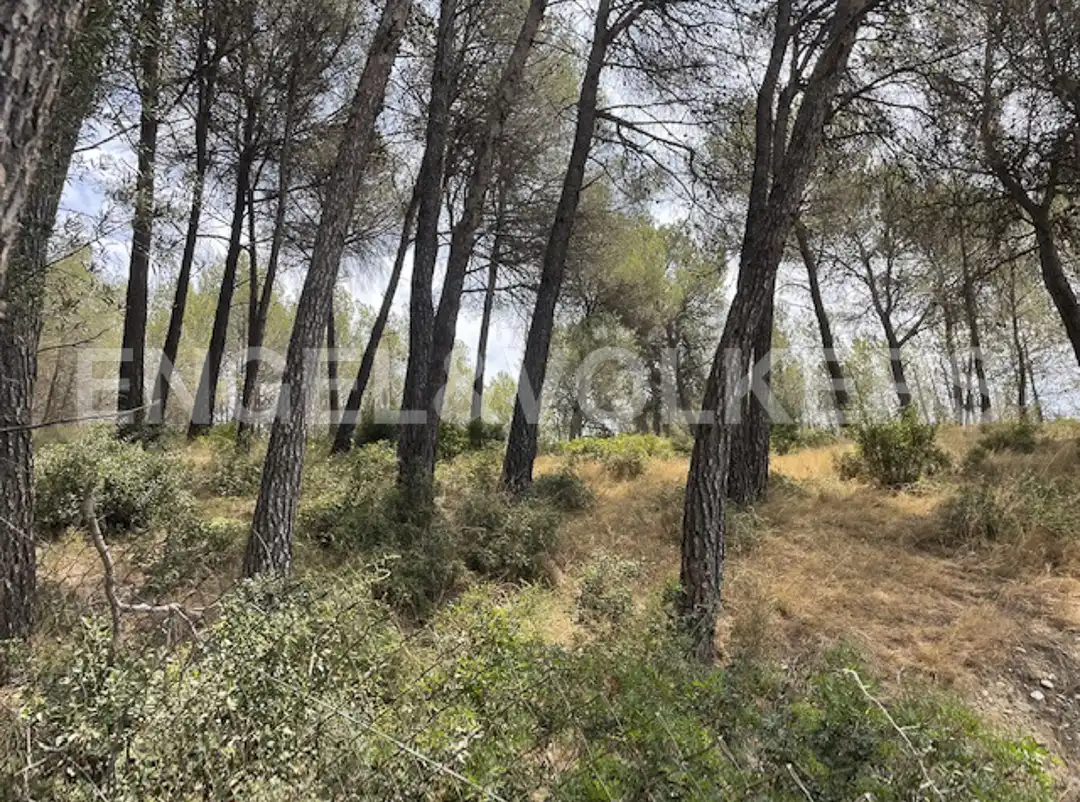 Terreny residencial en venda a Sant Muç, imagen 5