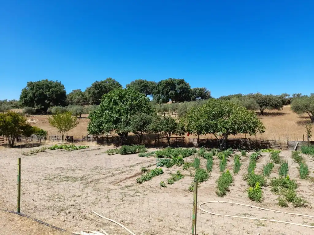 Casa o xalet en venda en San Vicente de Alcántara