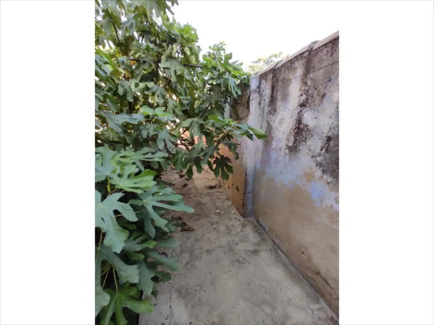 Casa o xalet en venda en Villar del Arzobispo
