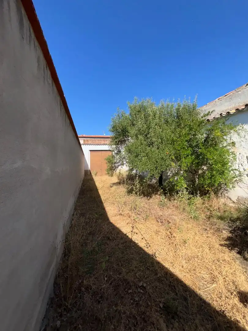 Casa o chalet en venta en Moral de Calatrava