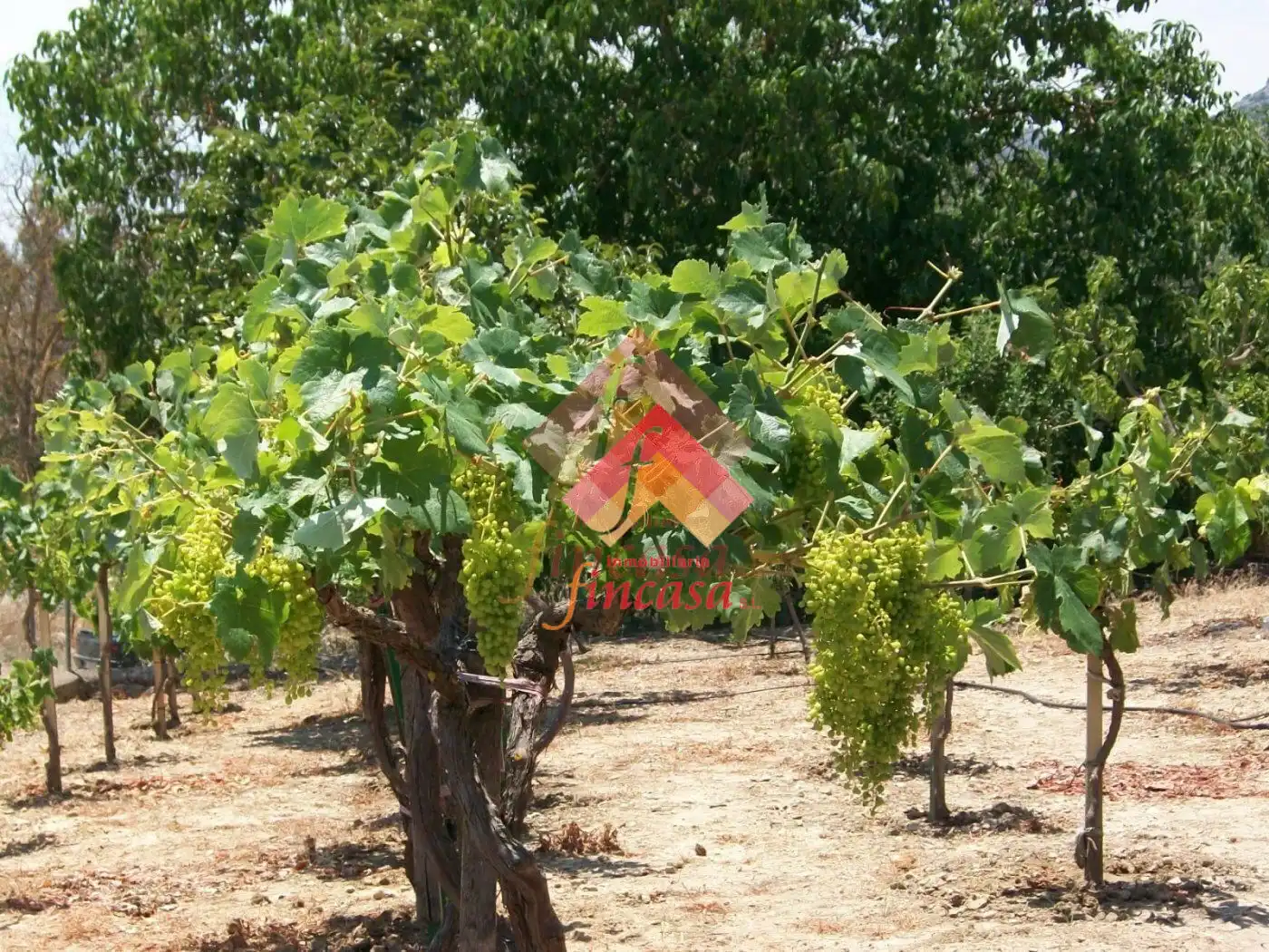 Casa o xalet en venda en Ronda amb Aire condicionat, Calefacció i Jardí privat