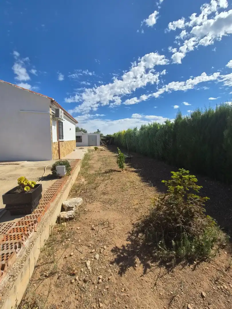 Casa amb piscina en venda a Calle LA BARRACA, imagen 28