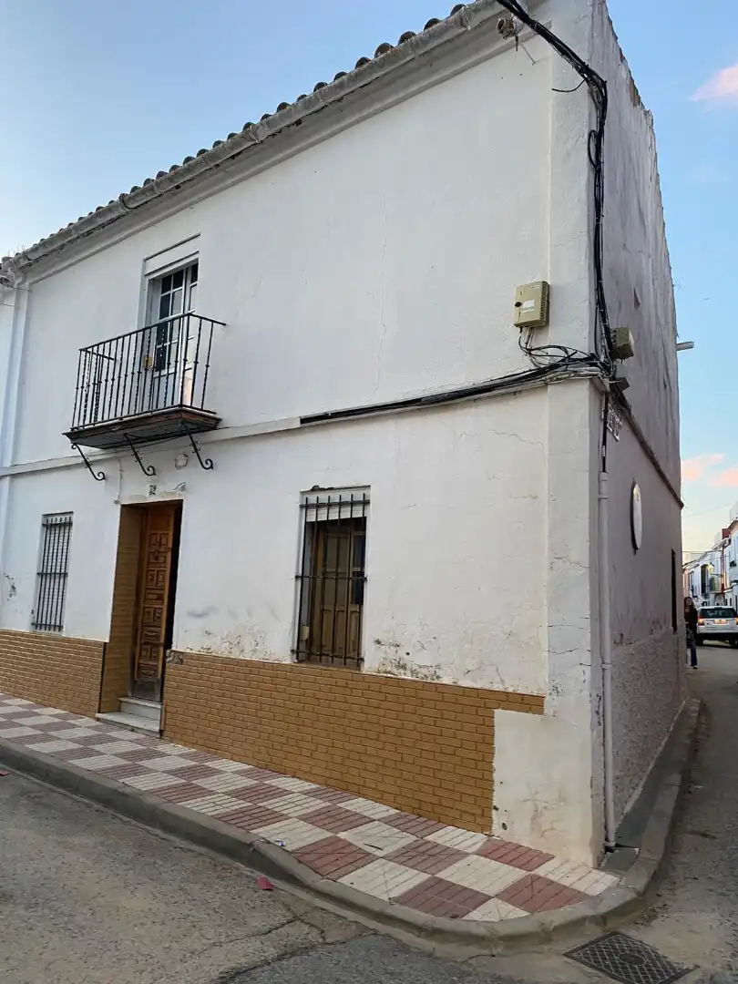 Exterior view of Detached homes for sale in Villamanrique de la Condesa