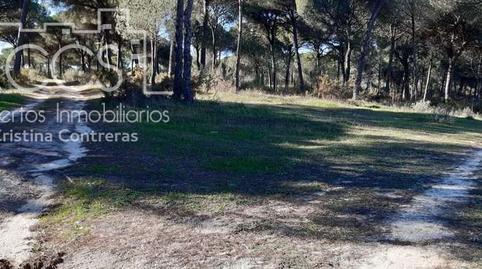 Foto 2 de Finca rústica en venta en Almonte ciudad, Huelva