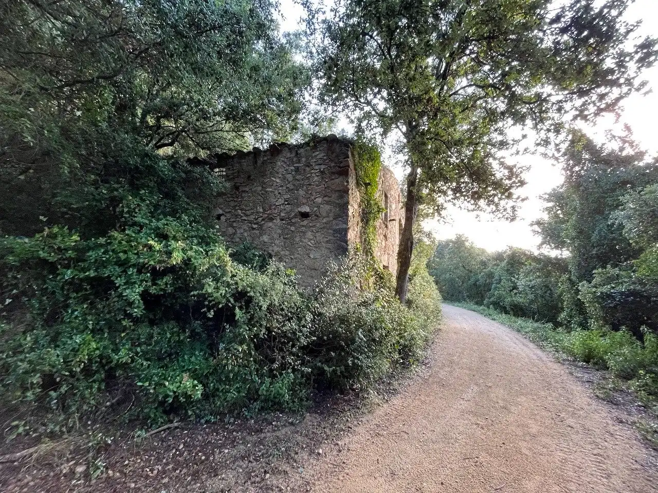 Maison rustique à vendre à Camino de Ca l'Esteve Burgada, imagen 8