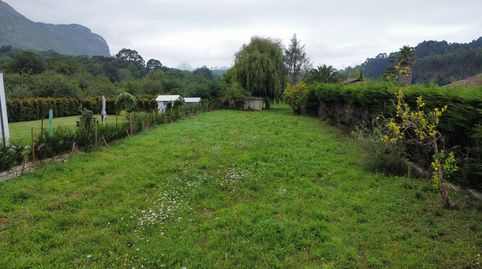 PARCELA DE 2.034 M2 EN CAMANGU RIBADESELLA