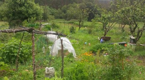 Foto 5 de Finca rústica en venda a Balvís, Cedeira, A Coruña