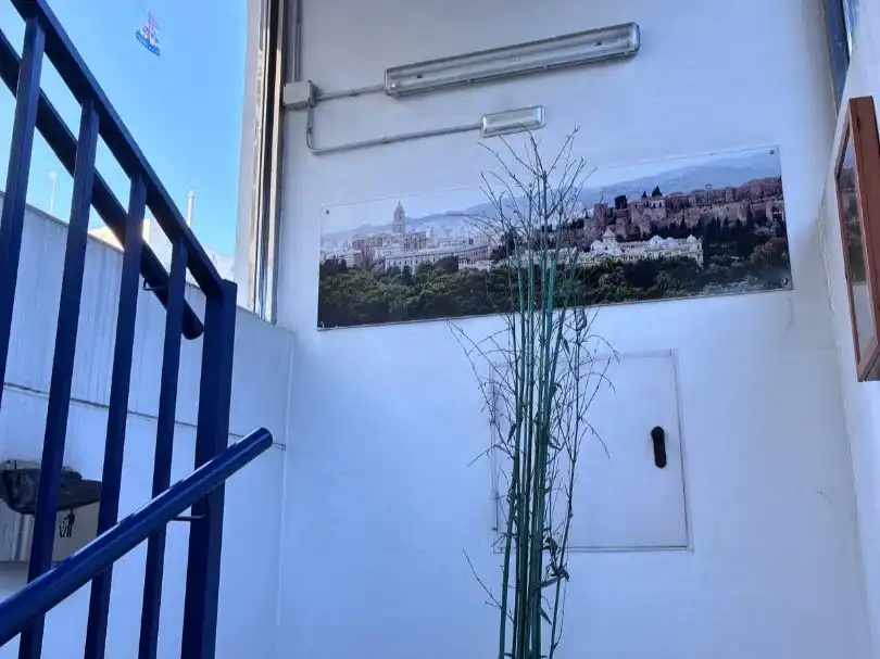 Terraza de Garaje de alquiler en Málaga