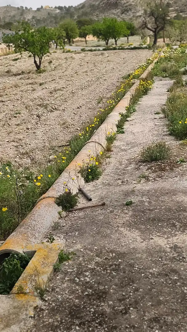 Vista exterior de Finca rústica en venta en Aigües con Jardín privado