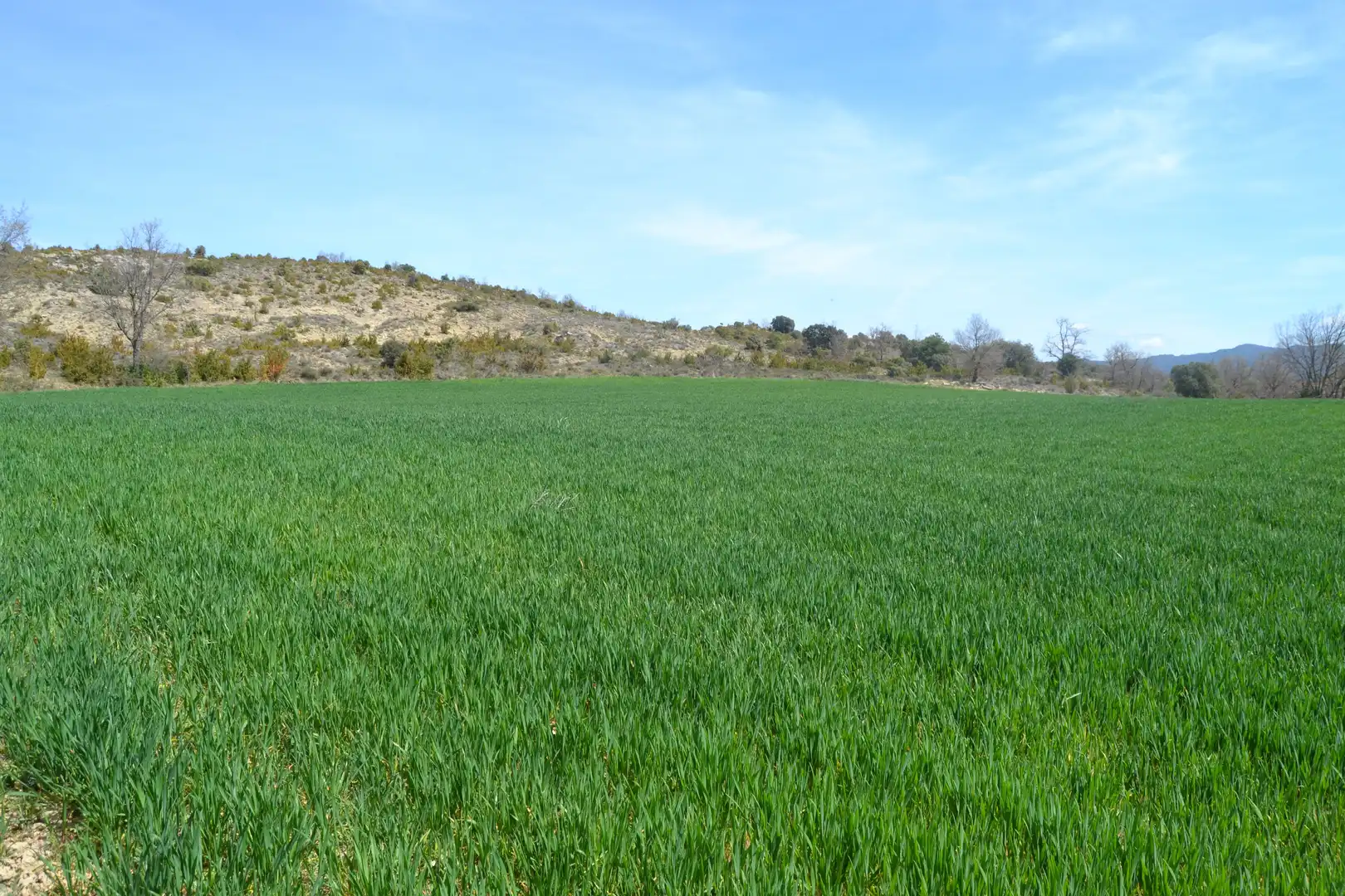 Country homes for sale in Sabiñánigo  with Private garden