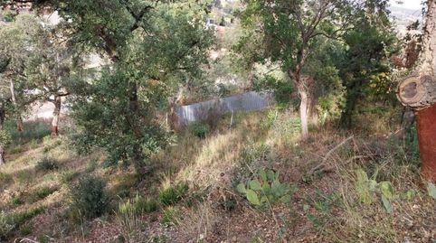 Terreno en venta en MONTBARBAT, imatge 2
