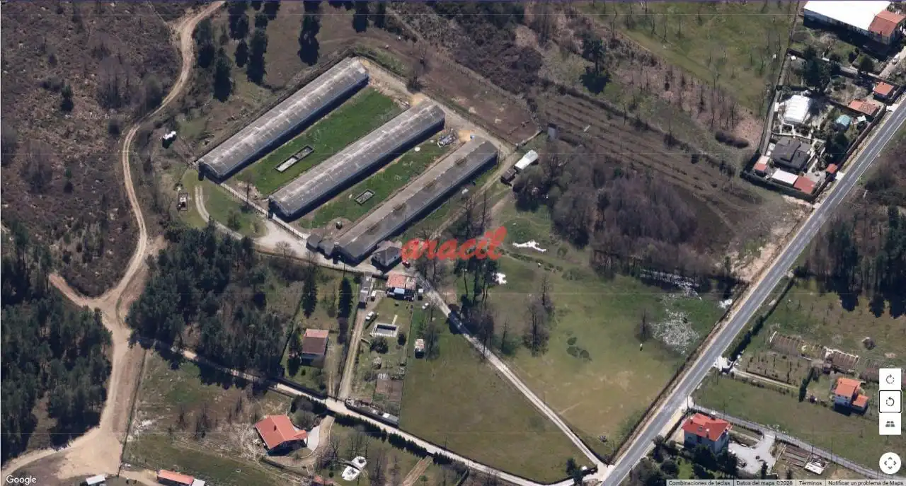 Terreni e lotti in vendita a O Pereiro de Aguiar, imagen 5