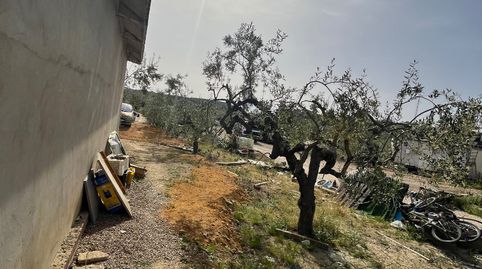 Foto 3 de Finca rústica en venta en Olivares, Sevilla