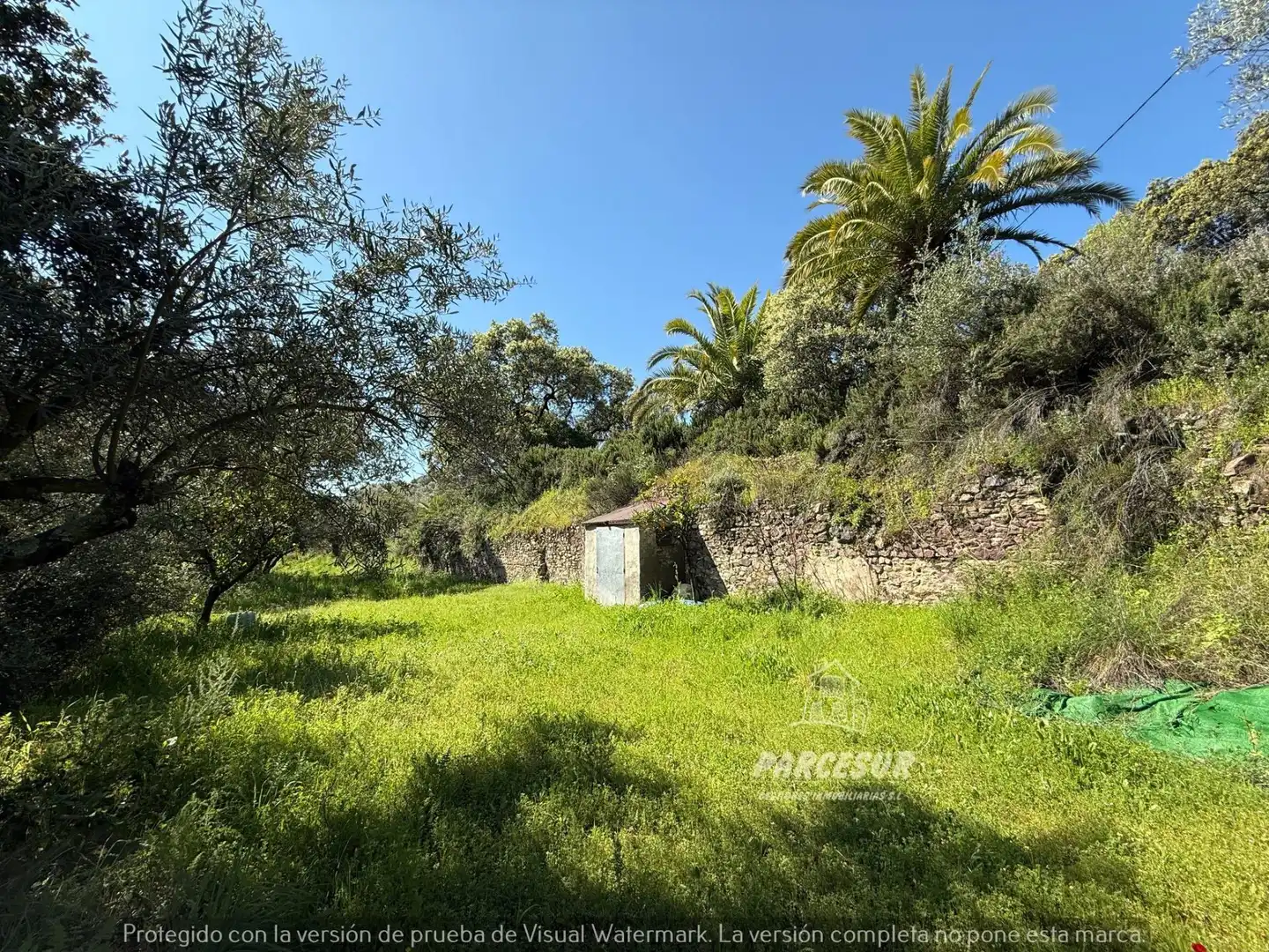 Finca rústica en venda en Córdoba amb Jardí privat i Traster