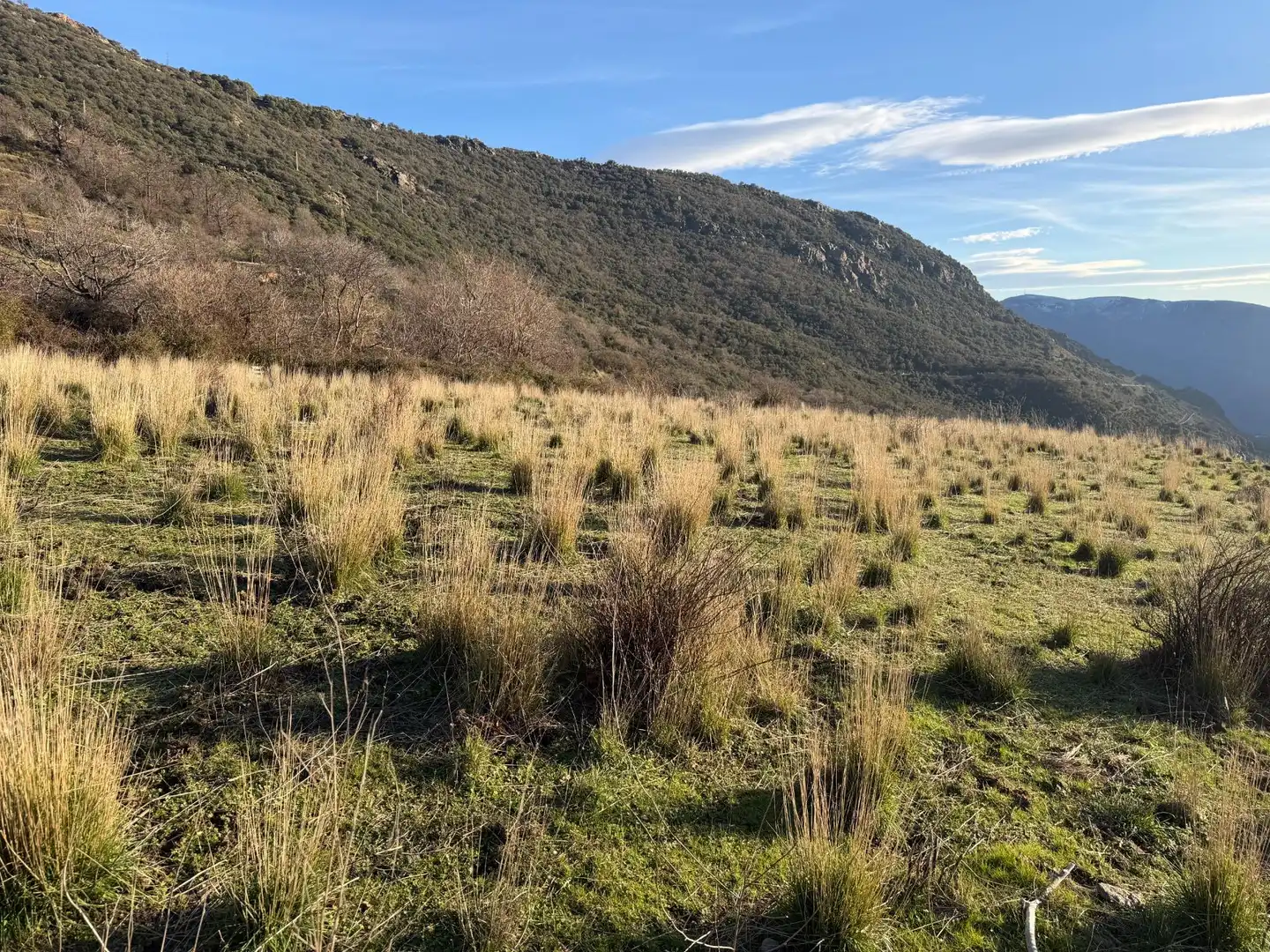 Rural land for sale in Bubión, imagen 3