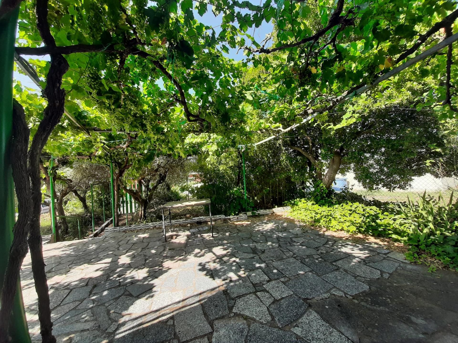 Jardín de Casa o chalet en venta en Casas de Don Antonio con Aire acondicionado, Calefacción y Jardín privado