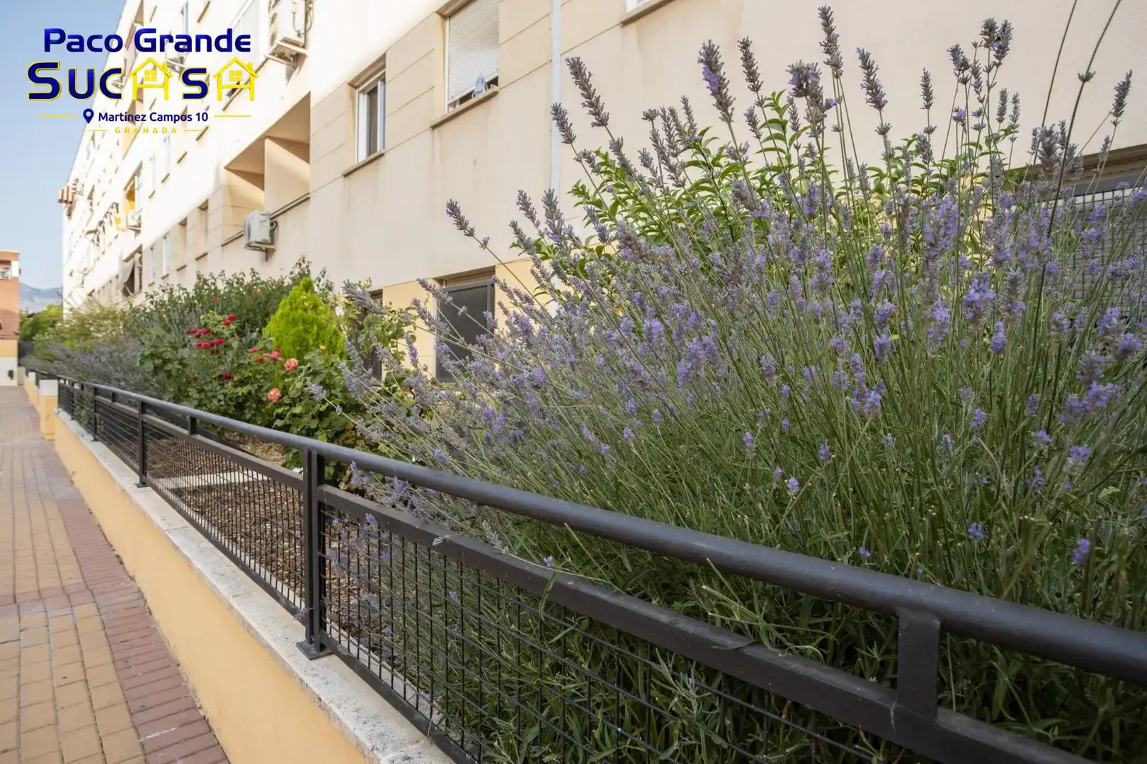 Terrace of Flat for sale in Granada  with Heating, Terrace and Furnished