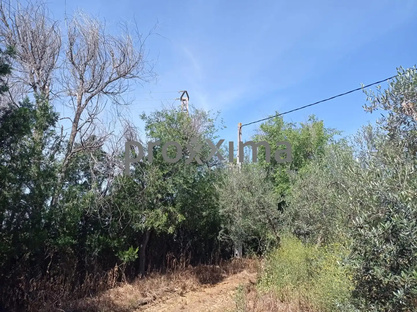 Rural land for sale in La Paz, imagen 6
