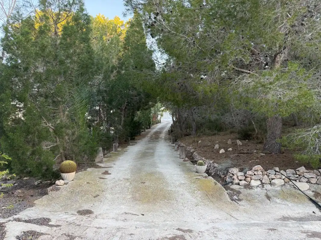 Vista exterior de Finca rústica en venta en Molina de Segura con Aire acondicionado, Calefacción y Jardín privado