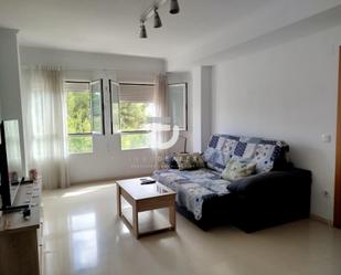 Living room of Flat for sale in Palmera  with Terrace and Balcony