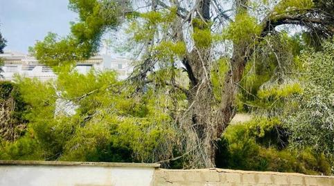 Photo 2 of Residential for sale in Escandinavia - Cautivador, Alicante