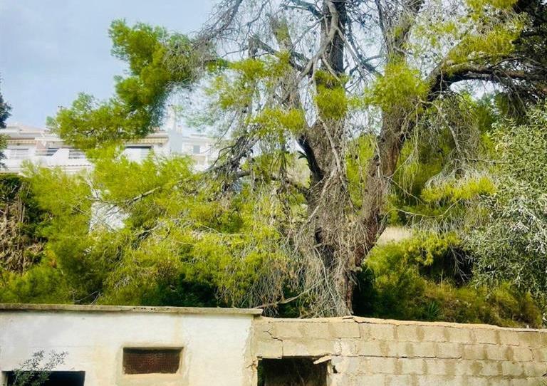 Foto 1 de Residencial en venda a Escandinavia - Cautivador, Alicante