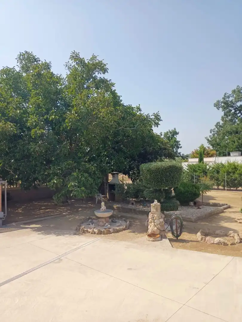 Finca rústica en venta en Tortosa