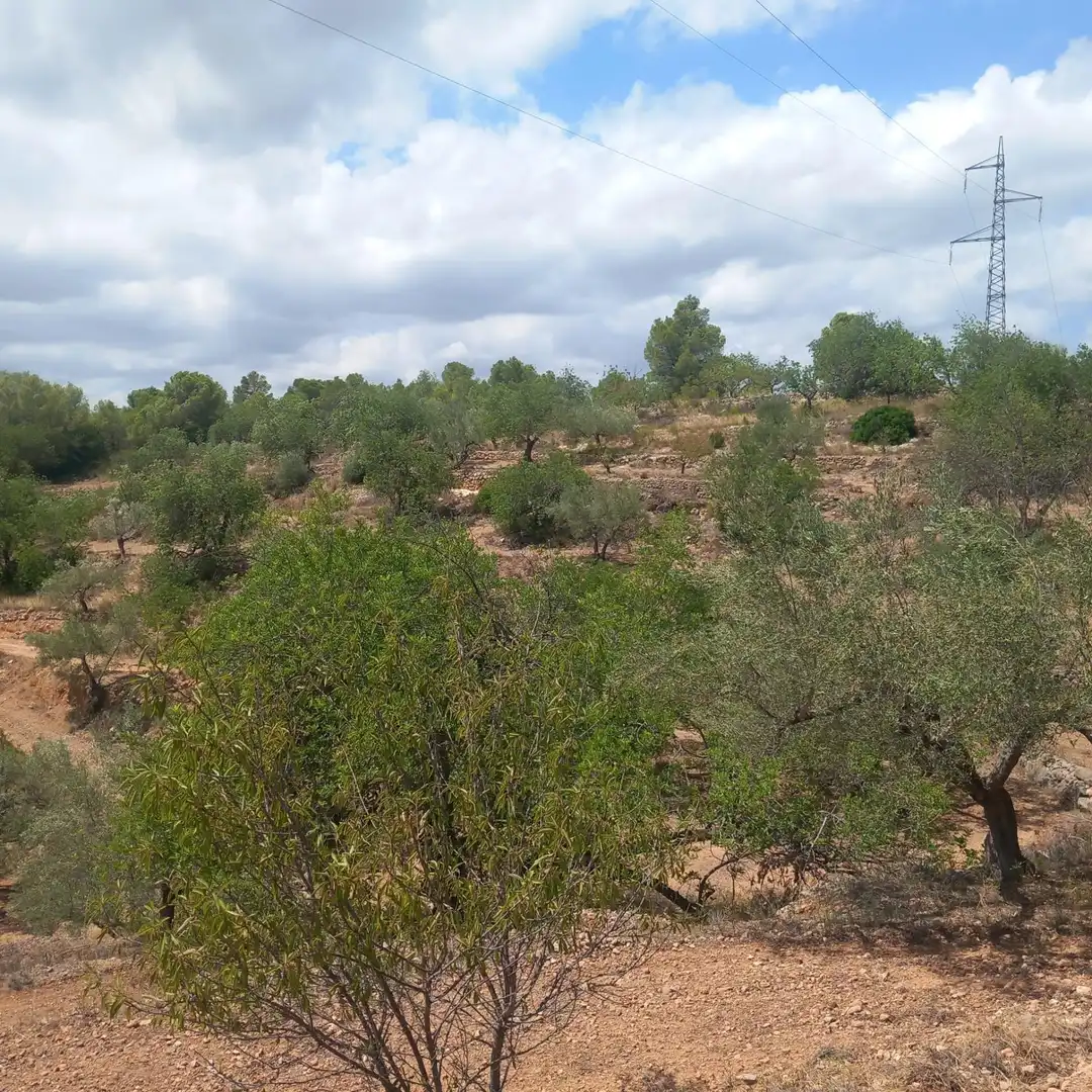 Terrain rustique à vendre à Bítem, imagen 2