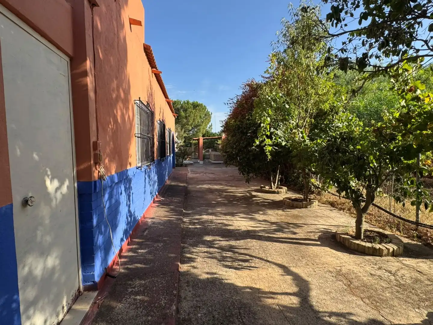 Vista exterior de Finca rústica en venta en Pilas