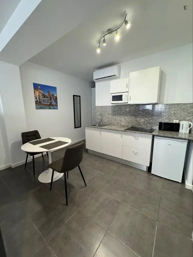 Cocina de Estudio de alquiler en Valencia con Aire acondicionado, Amueblado y Microondas