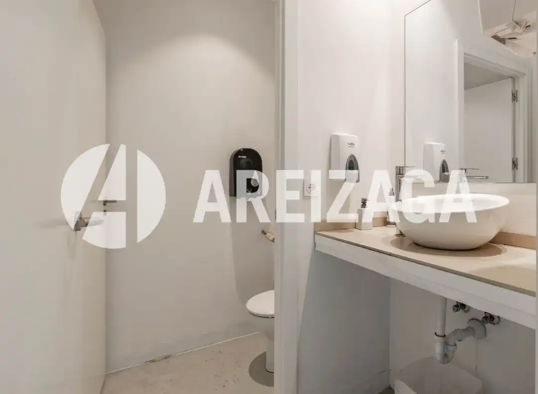 Gewerbefläche zur Miete in Ramón María Lili Pasealekua 1, imagen 29