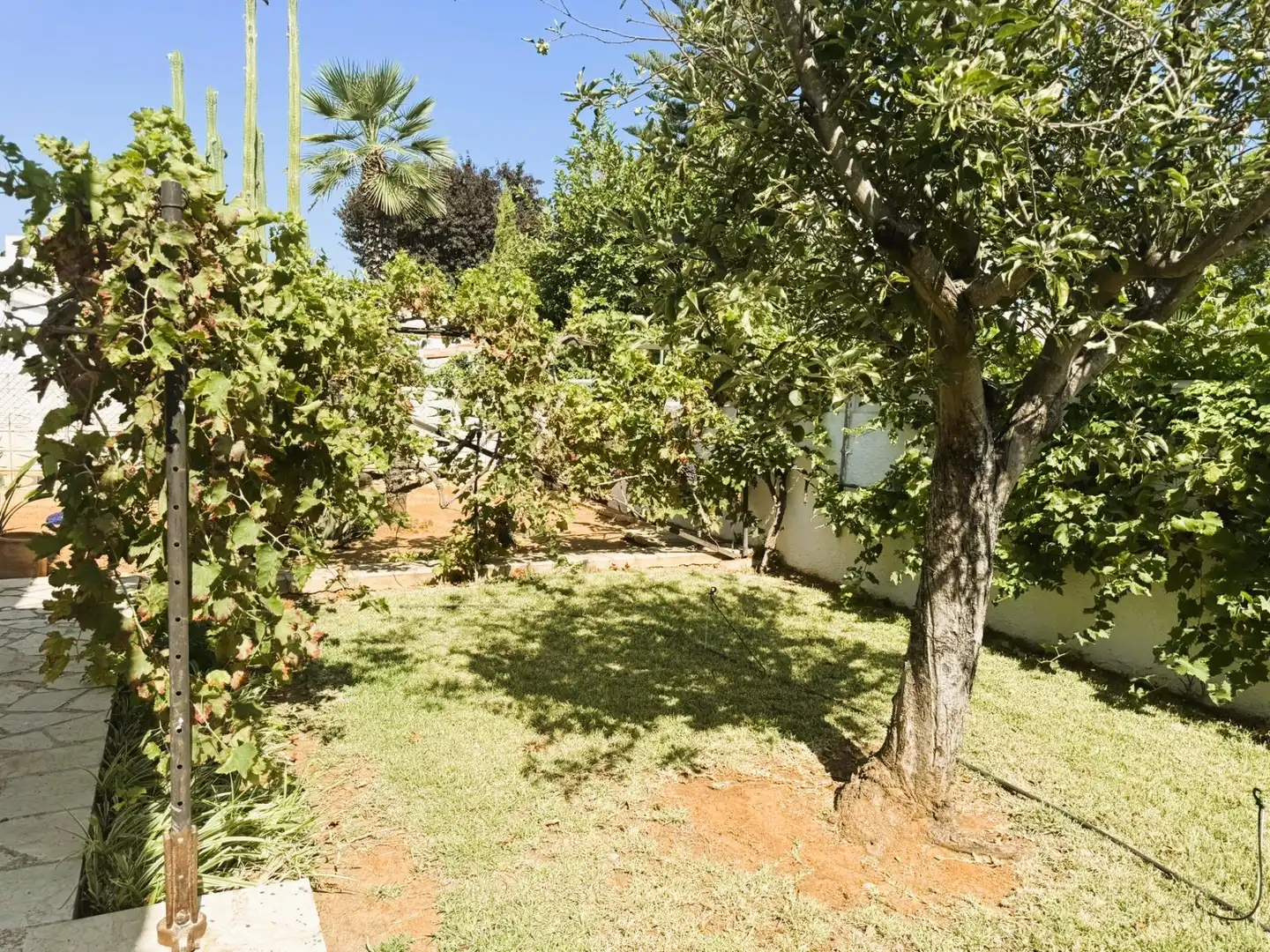 Villa avec piscine à vendre à Las Marinas / Les Marines, imagen 88
