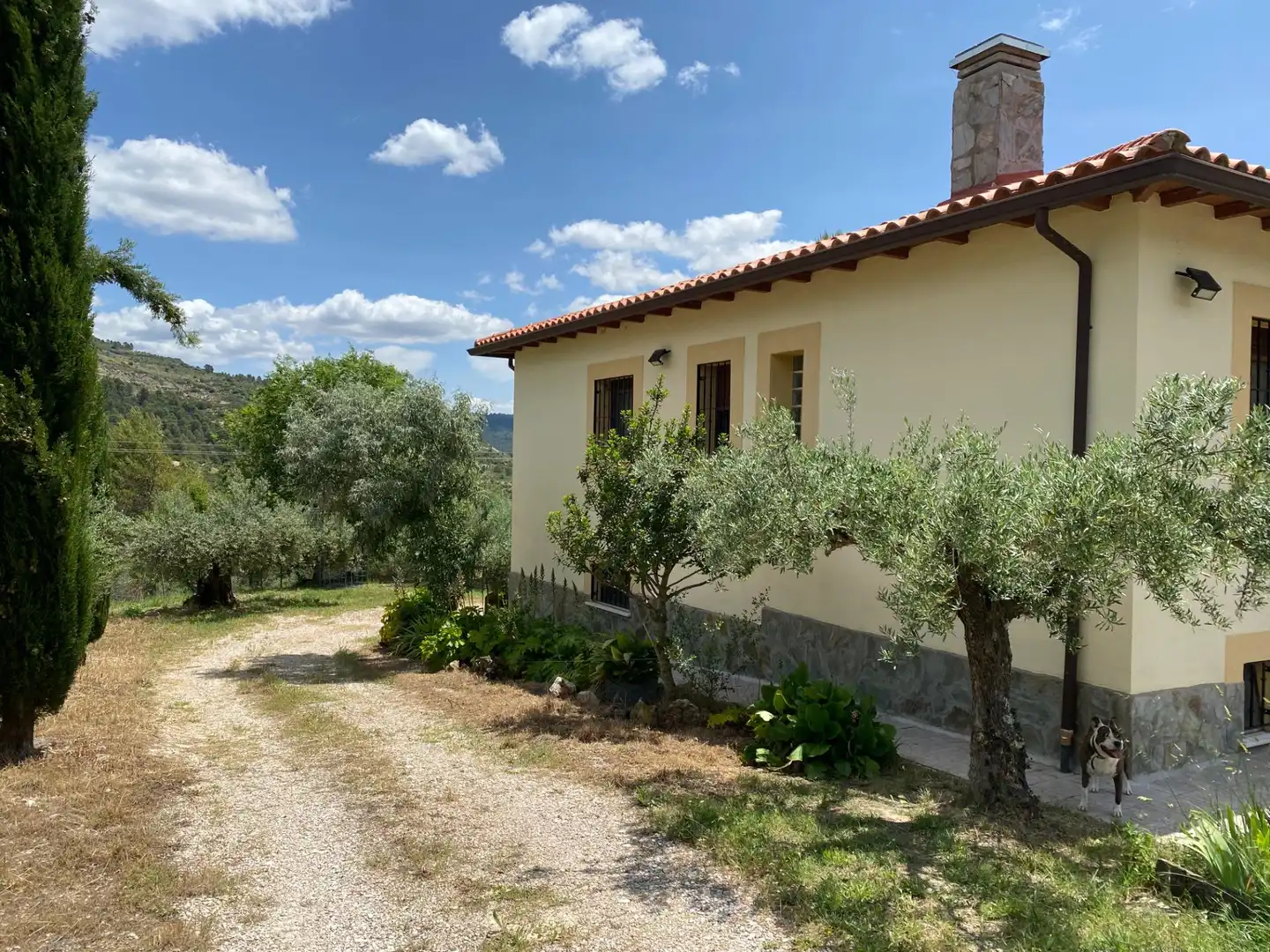 Vista exterior de Casa o chalet en venta en Auñón con Jardín privado, Terraza y Piscina