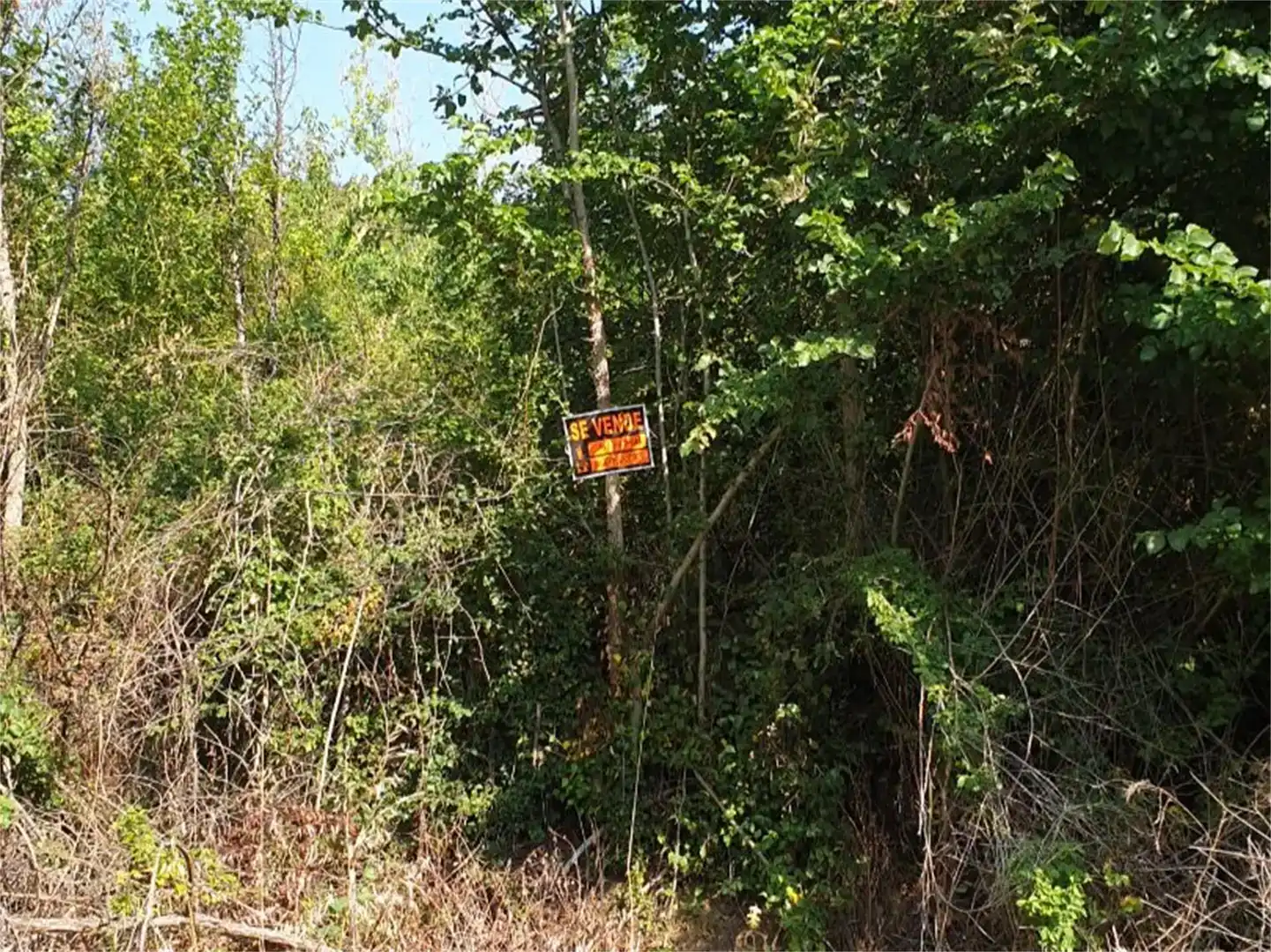 Planta baja en venta en Cacabelos con Amueblado