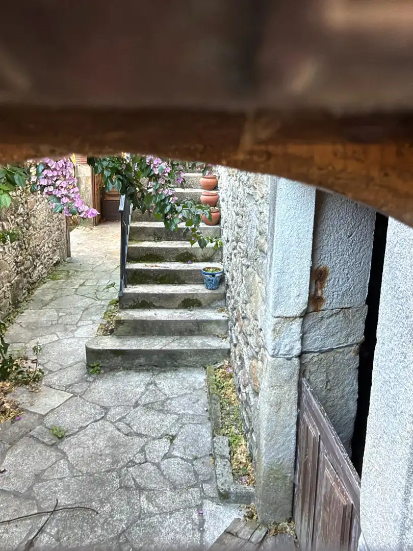 Villa con giardino in vendita a O Rosal, imagen 22