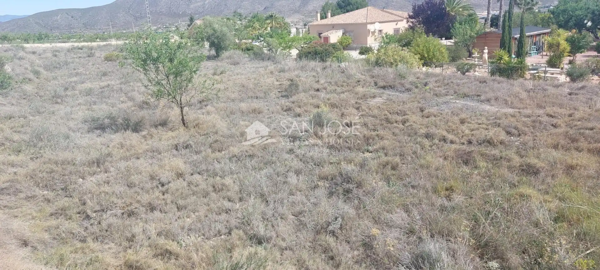 Terreno rustico in vendita a Hondón de los Frailes, imagen 3