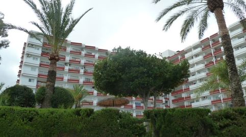 Foto 2 de Piso en venta en Port d'Alcúdia - Platja d'Alcúdia, Alcúdia