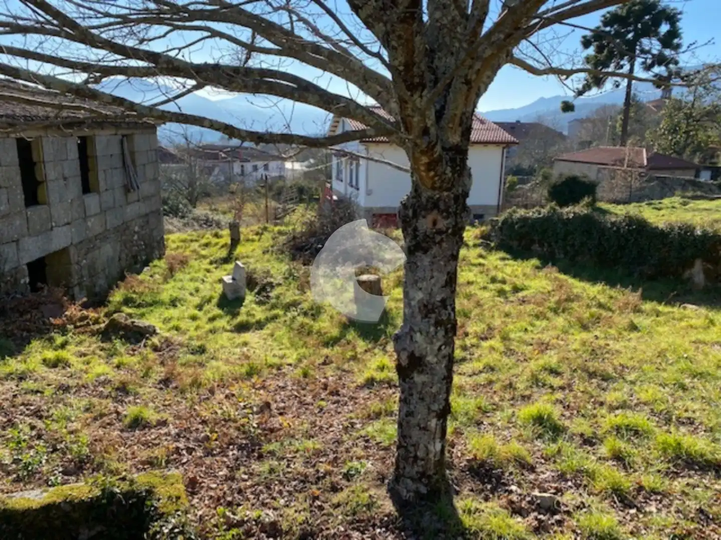 Casa amb jardí en venda a Entrimo, imagen 6