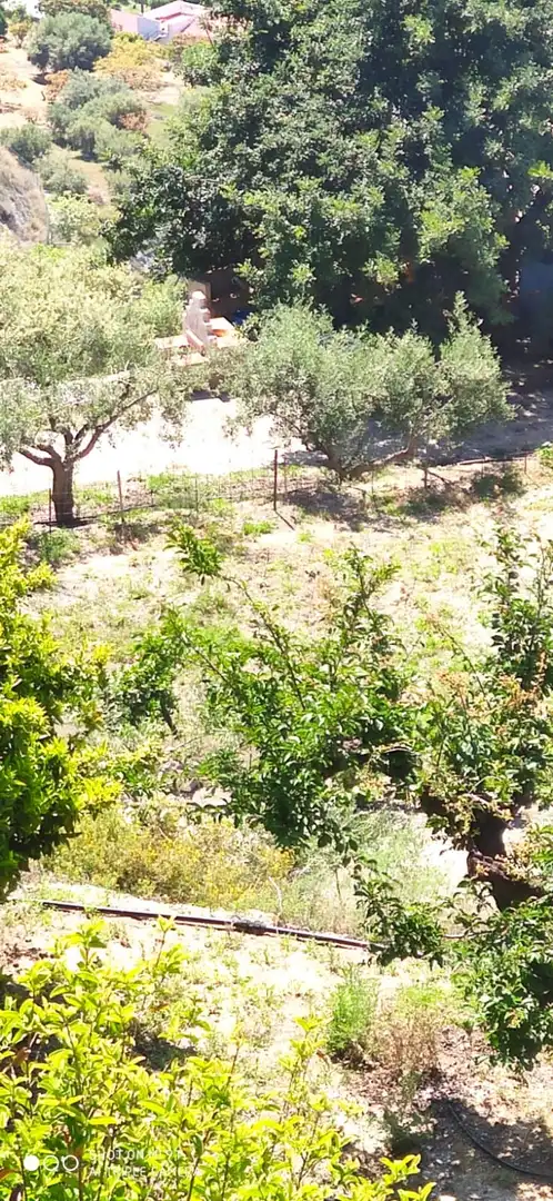 Casa rústica amb piscina en venda a Motril  ciudad, imagen 32