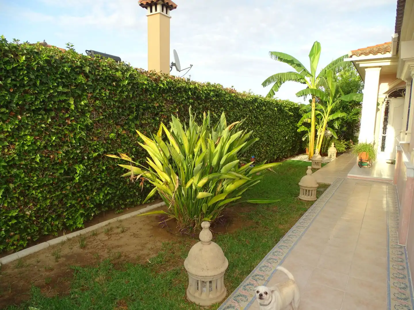 Villa con piscina in vendita a Jardines de triana, imagen 19