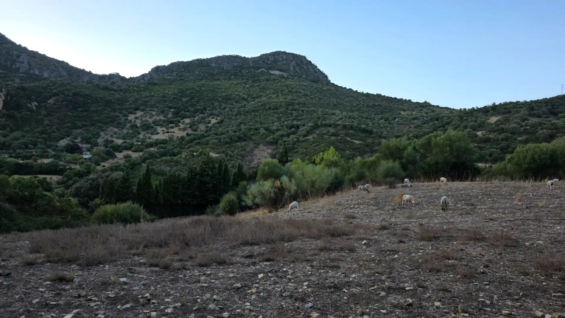 Terreno en venta en Centro