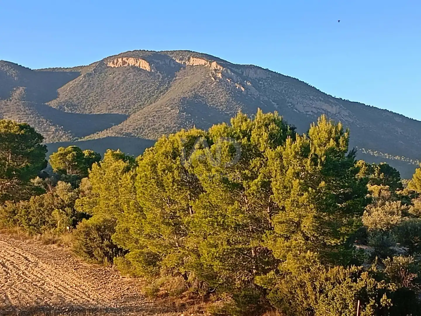 Terreno en venta en Lorca