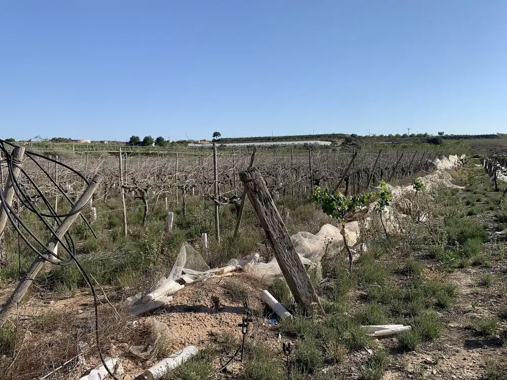 Terreno residencial en venta en Monforte del Cid, imagen 9