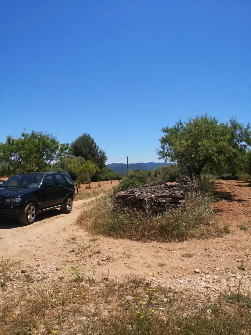 Terreny rústic en venda a Vall d'Alba, imagen 7