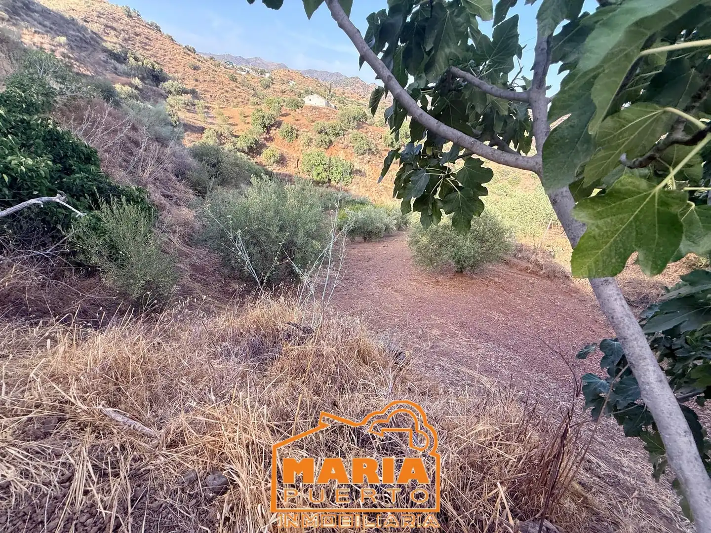 Terreno rustico in vendita a Almogía, imagen 13
